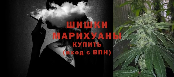 спайс Каменка