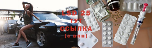 спайс Каменка