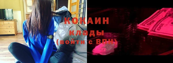 спайс Каменка