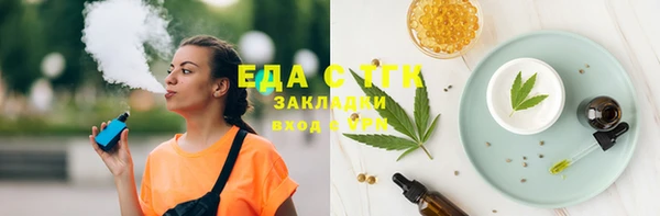спайс Каменка
