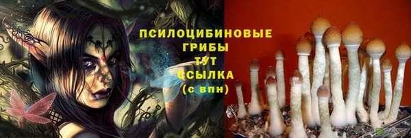 спайс Каменка