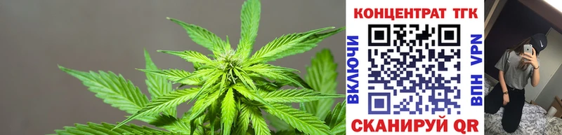 MEGA как войти  продажа наркотиков  Качканар  ТГК Wax 