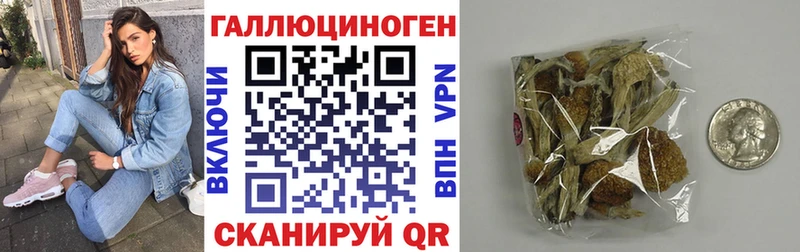 где продают Качканар Псилоцибиновые грибы MAGIC MUSHROOMS